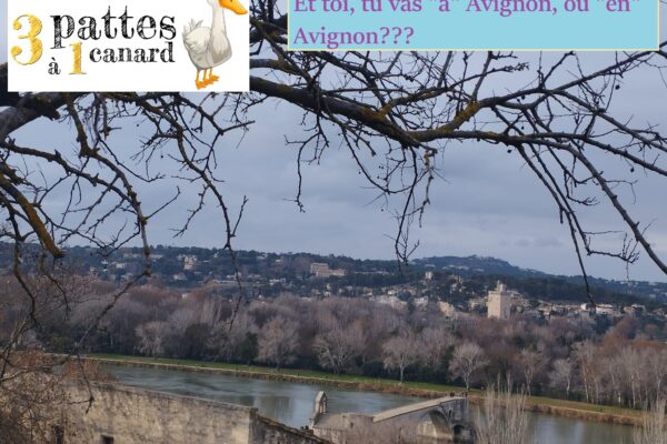 3 pattes à 1 canard – « à » Avignon ou « en » Avignon??