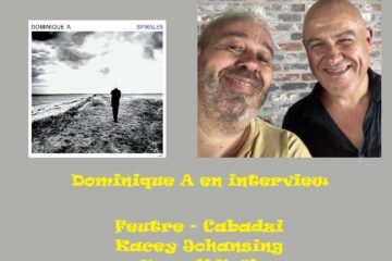 Dominique A Chansomania