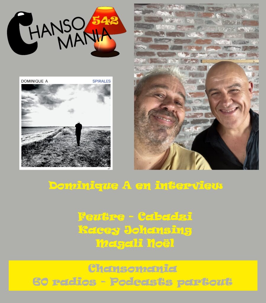 Dominique A Chansomania